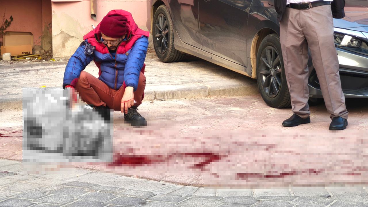 AĞABEYİNİ SOKAK ORTASINDA BIÇAKLADI