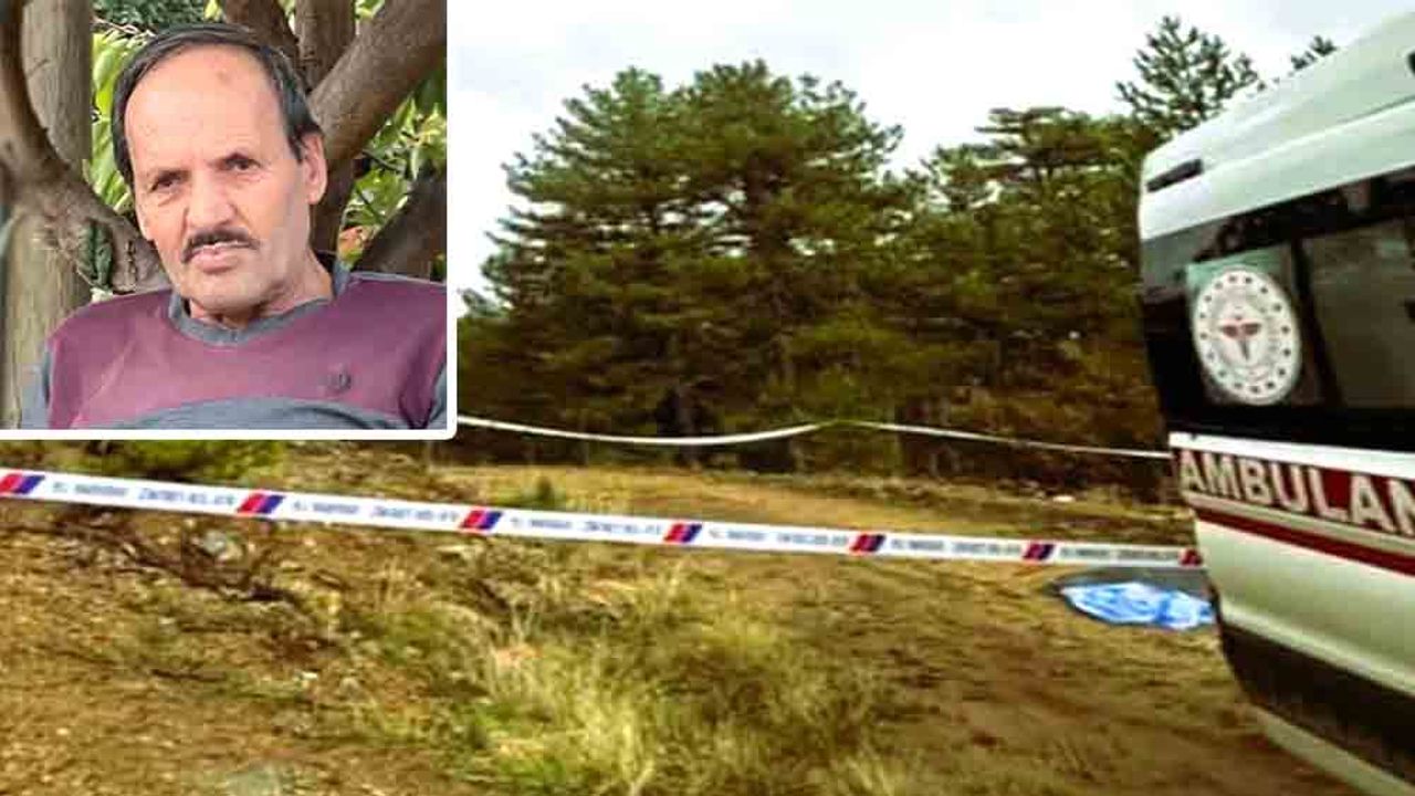ÇINTAR TOPLAMAK İÇİN GİTTİ, ORMANDA ÖLÜ BULUNDU