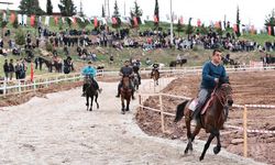 ATLAR KOŞTU, ÇALLILAR COŞTU
