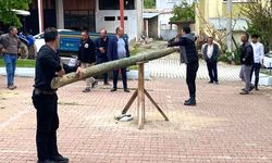 GINGIRGAÇLA BAHAR NEŞESİ