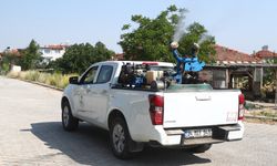 PAMUKKALE BELEDİYESİ EKİPLERİ KARASİNEKLE SAVAŞIYOR