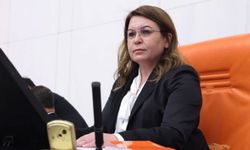 BİÇER KARACA,: “KAYIPLARIN NEDENİ İHMALLER ZİNCİRİ Mİ?”