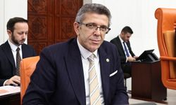YASİN ÖZTÜRK: YANAN SADECE ORMANLAR DEĞİL, VİCDANLAR!