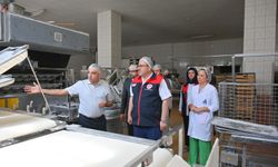 FIRINLARA DENETİM