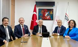 YÜZME HAVUZUNA 25 MİLYONLUK KAYNAK