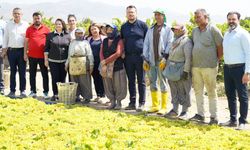 CHP DENİZLİ MİLLETVEKİLİ ŞEREF ARPACI : TARİŞ ALGI YAPIYOR