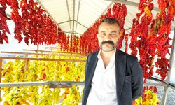 KALE BİBERİNİN SOFRALARA YOLCULUĞU BAŞLADI
