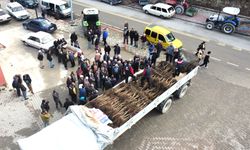 DENİZLİ CEVİZİN BAŞKENTİ