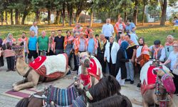YÖRÜKLERİN DEVELERLE GÖÇÜ DENİZLİ'DE CANLANDIRILDI