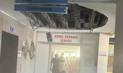 CAN BU KADAR UCUZ MUDUR?
