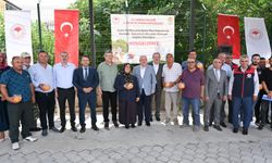 MEYVE ÜRETİCİSİNE FEROMEN TUZAK
