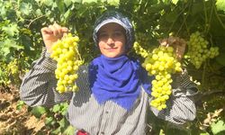 ÜZÜM FİRMALARINI ERDOĞAN’A ŞİKAYET ETTİ