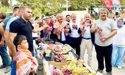 AVŞAR’DA ŞENLİK