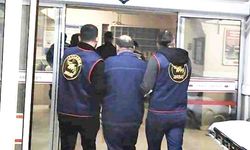 KURNAZLIK KURTARAMADI