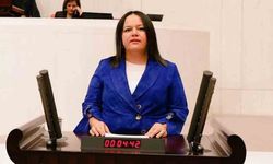 CHP’Lİ ARPACI İLE AK PARTİLİ ÖK ARASINDA DOĞALGAZ POLEMİĞİ