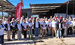 ÇOCUKLARA KOOPERATİF DERSİ