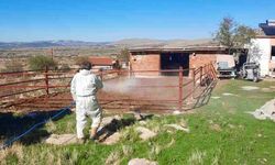 BELEDİYE EKİPLERİ İLÇE GENELİNDE İLAÇLAMA YAPIYOR