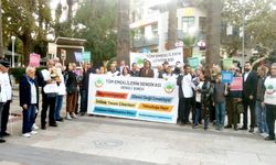 MEYDANLARI MESLEK TUTTULAR