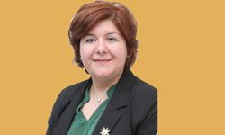 AK PARTİLİ KABADAYILAR: KABİLE YÖNETİR GİBİ…