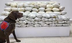 1.6 TON UYUŞTURUCU 750 BİN HAP ELE GEÇİRİLDİ