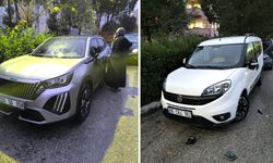 MAHALLENİN KABUSU OLDU