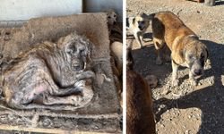 BARINAKTA İÇ ACITAN MANZARA