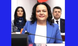 VEKİL ÖK, ENERJİ ÜZERİNDEN MUHALEFETE YÜKLENDİ