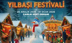 BÜYÜKŞEHİR YILBAŞI FESTİVALİ BAŞLIYOR