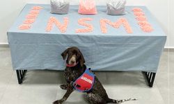 28 BİN EXTACY ELE GEÇİRİLDİ