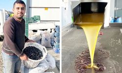 KARA MEYVE ALTIN SIVIYA DÖNÜŞÜYOR