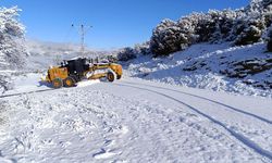 KAR ÇAMELİ’Yİ ESİR ALDI