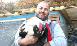 EGZOTİK IRKLARI YETİŞTİRİYOR