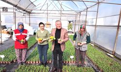 HONAZ BELEDİYESİ’NDEN KADINLARA 8 MART’TA 8 BİN ÇİÇEK