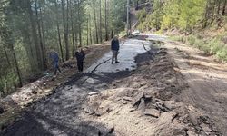 ÇAMELİ'DE SELİN YARALARI SARILIYOR