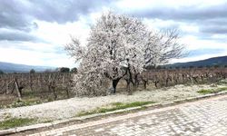 BAHAR RENKLERİYLE GELİYOR