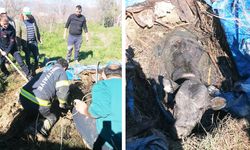 İNEĞİN İMDADINA İTFAİYE YETİŞTİ