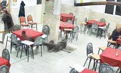 SOBAYA DÖKÜLEN KOLONYA FACİAYA NEDEN OLUYORDU