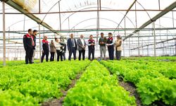 DENİZLİ’DE BİTKİSEL ÜRETİM YÜZ GÜLDÜRDÜ