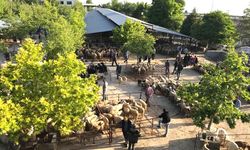 ÜRETİCİYİ SEVİNDİREN GELİŞME