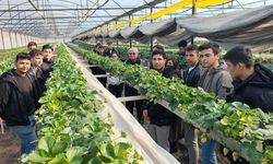 BAKLAN’DA ÖĞRENCİLER TOPRAKSIZ TARIMI ÖĞRENİYOR