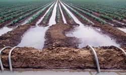 SULAMA KRİZİ TBMM GÜNDEMİNE TAŞINDI