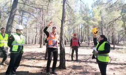 BÖLGE MÜDÜRÜ ACIPAYAM’DA ORMANLIK ALANLARI GEZDİ