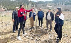 ÇAMELİLİ ÜRETİCİYE BUDAMA EĞİTİMİ