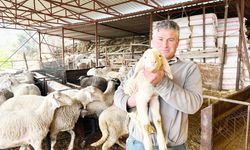 KURBANLIKLAR GÖRÜCÜYE ÇIKTI