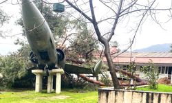 UÇAĞA AĞAÇ ÇARPTI