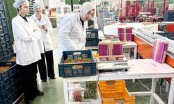 SARAYKÖY’DE DENETİM