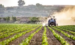 DESTEK ÖDEMELERİ BAŞLADI