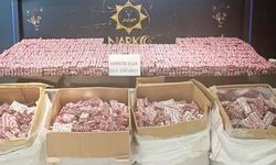 BÜYÜK ZEHİR BASKINI