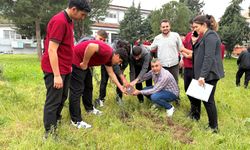 ATIKLAR FİDANA DÖNÜŞTÜ