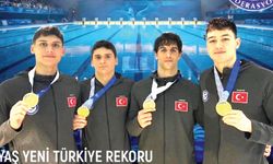 AHMET METE FIRTINASI